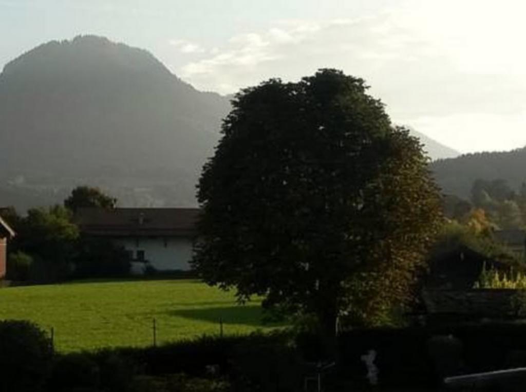 Hotel Alp Inn - Chiemgaukarte Inclusive Ruhpolding Bagian luar foto