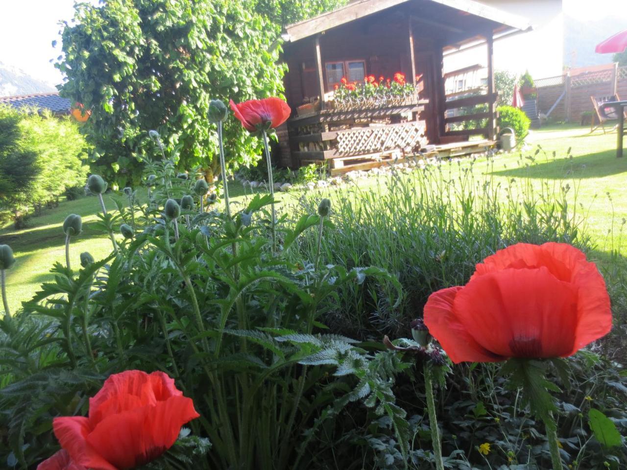 Hotel Alp Inn - Chiemgaukarte Inclusive Ruhpolding Bagian luar foto