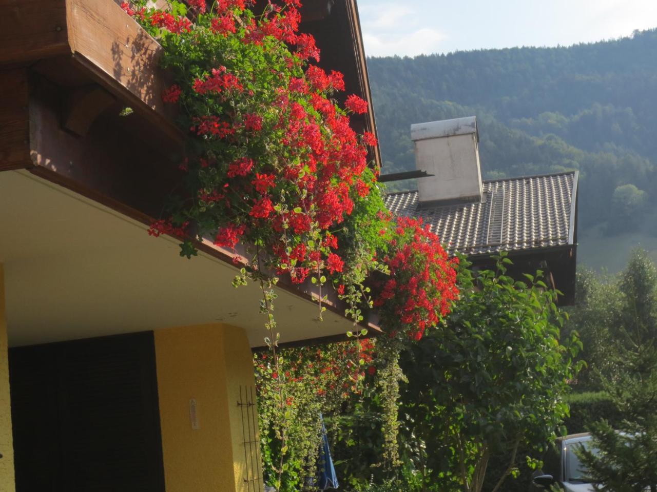 Hotel Alp Inn - Chiemgaukarte Inclusive Ruhpolding Bagian luar foto